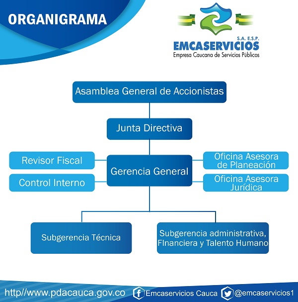Organigrama institucional de EMCASERVICIOS S.A. E.S.P., que muestra la estructura organizacional, los niveles jerárquicos y las dependencias que conforman la entidad.